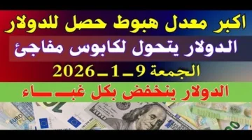 تحديث سعر.. الدولار مقابل الدينار الليبي في السوق السوداء وتوقعات قرارات 2025
